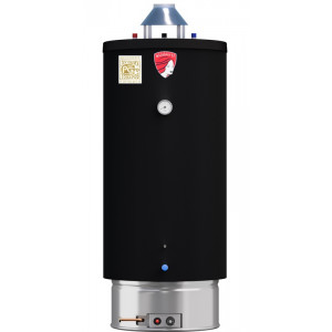 Водонагреватель газовый Federica Bugatti Inox Premium WH200